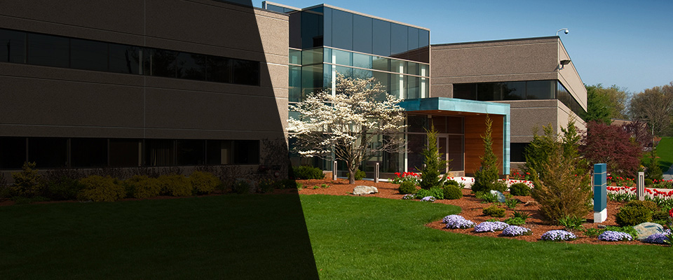 Wallingford Landscapers