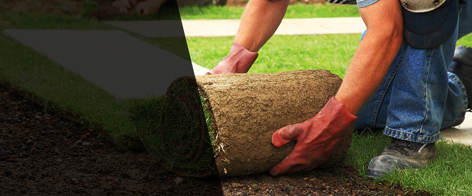 Wallingford Landscapers